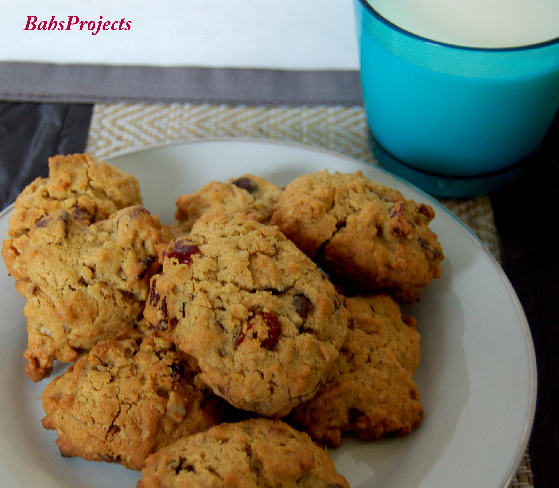 Chocolate Chip Almond and Cranberry Cookies - Babs Projects