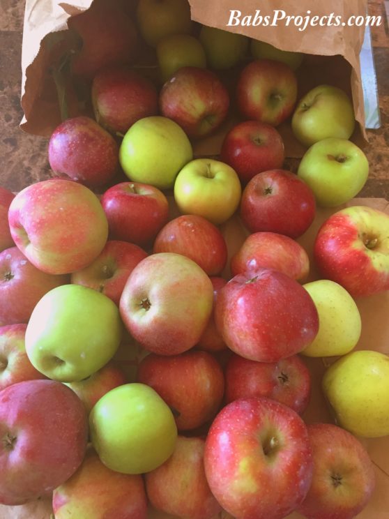All About Apples - How to Pick, Prepare & Store