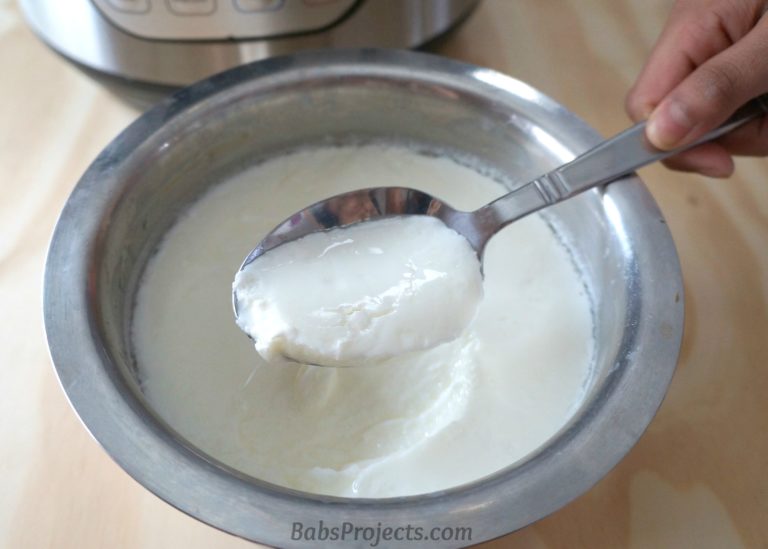 Make Homemade Yogurt in Instant Pot – Babs Projects